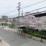 IMG_1748